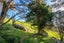 54B Harambee Road, Taiharuru, Parua Bay - Carousel 24