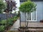 117A Nelson Crescent, Napier South, Napier - Carousel 11