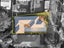 90 Connell Street, Blockhouse Bay, Auckland - Carousel 19