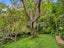 18 Burtts Road, Durie Hill, Whanganui - Carousel 14
