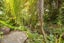 270 & 270B Waimairi Road, Ilam, Christchurch City, Canterbury - Carousel 8