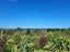 185 Bucks Road, Featherston - Carousel 8