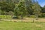873 Whangaripo Valley Road, Whangaripo, Wellsford - Carousel 29