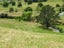 0 Hanning Road, Earnscleugh, Alexandra - Carousel 2