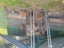5 Gill Crescent, Blockhouse Bay, Auckland - Carousel 5