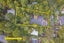 19 Tainui Road, Titirangi, Auckland - Carousel 27