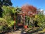15 Welsh Hills Road, Swanson, Auckland - Carousel 19