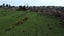 0 Powerhouse Road, Fairdown, Westport - Carousel 4
