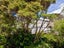 81 Wilton Road, Wilton, Wellington - Carousel 1