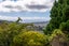 125 Makara Road, Karori, Wellington - Carousel 6