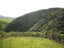 4 Van Der Velden Way, Horokiwi, Wellington - Carousel 7