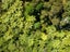 67 Busby Road, Katikati, Katikati - Carousel 18