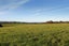 216E Ahiaruhe Road, Ahiaruhe, Carterton - Carousel 19