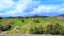1344 State Highway 12, Oue, Kaikohe - Carousel 29