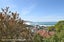 110 Bedford Street, Saint Clair, Dunedin, Otago - Carousel 25