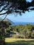0 Iona Road, Havelock North, Havelock North - Carousel 5