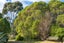 1960 Redwood Pass Road, Seddon, Blenheim - Carousel 30