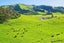 0 Lake Road, Raglan, Taupiri - Carousel 4