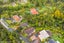 1232 Scenic Drive North, Swanson, Auckland - Carousel 22