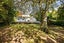 128 River Road, Hamilton East, Hamilton - Carousel 5