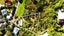 101 Heberden Avenue, Sumner, Christchurch - Carousel 26