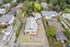 136 Lynwood Road, New Lynn, Auckland - Carousel 28