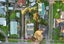 196 Church Street, Onehunga, Auckland - Carousel 21
