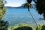 1581 State Highway 30, Rotoiti Forest, Rotorua - Carousel 30