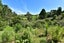 165 Inland Road, Helensville, Helensville - Carousel 19