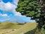 6388 South Road, Opunake - Carousel 29