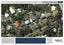 10 Rauhuia Crescent, Parau, Auckland - Carousel 35