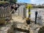 91 Farnham Street, Mornington, Wellington - Carousel 10