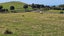 4 Kohu Lane, Bethlehem, Tauranga - Carousel 3