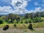 99 Mangamanihi Road, Kaeo - Carousel 12