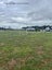 21C Lumbarda Drive, Kumeu - Carousel 16