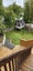 62A Captain Scott Road, Glen Eden, Auckland - Carousel 6