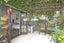 303 Adelaide Road, Newtown, Wellington - Carousel 10