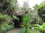 54 Mahoe Road, Titirangi, Auckland - Carousel 5