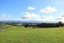255 Lees Pakaraka Road, Te Ore Ore, Masterton - Carousel 4