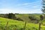 536 Maniatutu Road, Pongakawa, Te Puke - Carousel 20