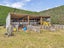 305 Newtons Road, Christchurch - Carousel 34