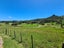 208 McQuoid Road, Preece Point, Coromandel - Carousel 8