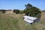 1075 Te Akau Road, Te Akau, Ngaruawahia - Carousel 4
