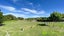 13 Wanita Place, Totara Vale, Auckland - Carousel 16