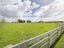 339 Stoney Creek Road, Kelvin Grove, Palmerston North - Carousel 49
