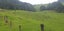 2708C Waiare Road, Kaeo, Kaeo - Carousel 19