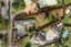 19 Whitford-Maraetai Road, Howick - Carousel 2
