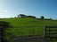 77 Day Road, Te Awamutu, Ohaupo - Carousel 10
