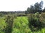 17A Darkies Terrace Road, Charleston, Cape Foulwind - Carousel 7
