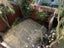 14 Frederick Street, Hillsborough, Auckland - Carousel 14